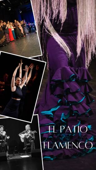 Collage mit Flamenco-Szenen: Oben links eine Gruppe von Tänzerinnen in bunten Kleidern auf der Bühne, darunter eine Tänzerin in schwarzem Outfit mit erhobenen Armen, unten links zwei Gitarristen, rechts ein Detail eines lilafarbenen Flamenco-Kleides mit Volants. Text: ‚El Patio Flamenco‘.